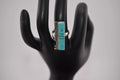 Navajo Steve Francisco Sterling Silver Turquoise Ring Inlay