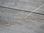 Saressa Designs Scalloped Bar Lariat Necklace
