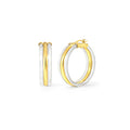 Gold & Honey Ridge Lucite Hoop Earrings
