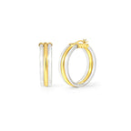 Gold & Honey Ridge Lucite Hoop Earrings